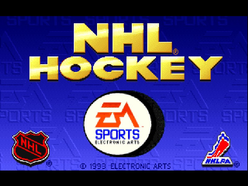 NHL Hockey94